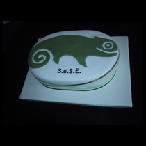 SuSE Linux Geeko Cake Cake